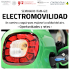 Seminario ITAM-GIZ: Electromovilidad
